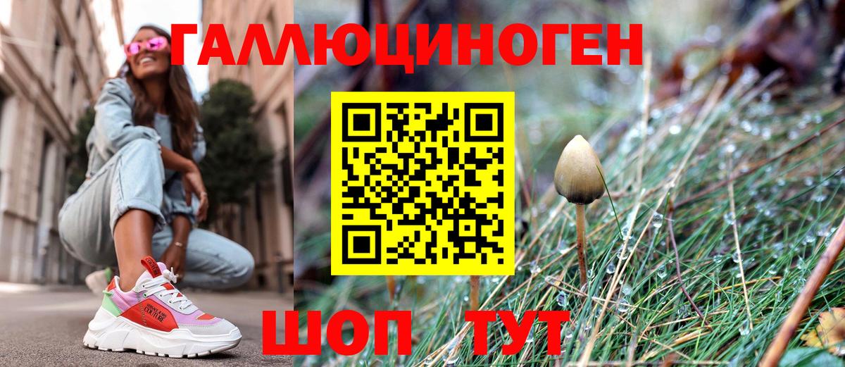 Галлюциногенные грибы GOLDEN TEACHER Тавда